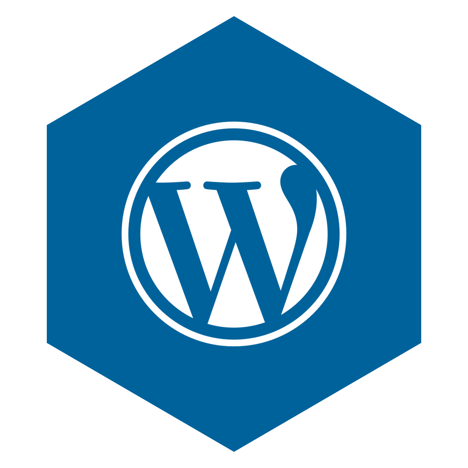 wordpress web development